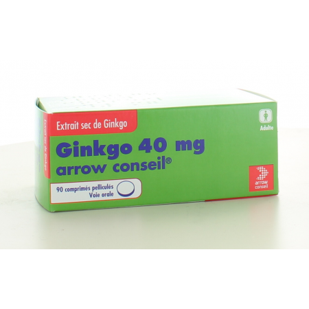 Ginkgo Arrow 40 mg 90 comprimés