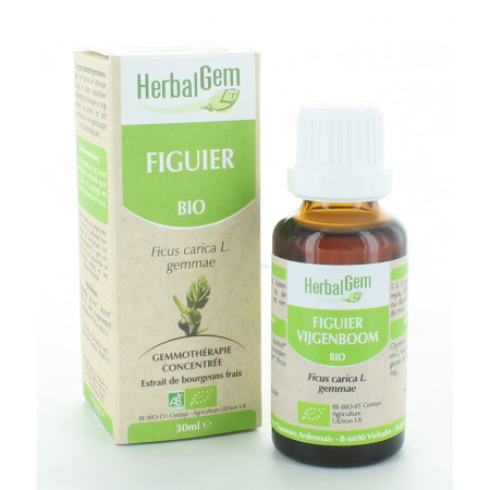 HerbalGem Figuier Bio 30ml