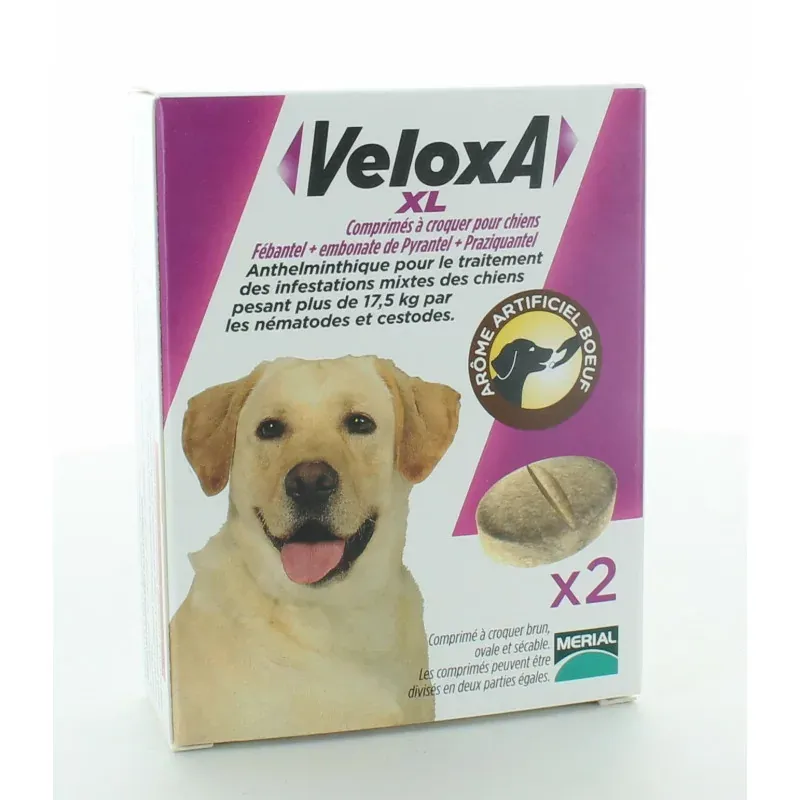 Veloxa XL Comprimés Chien X2