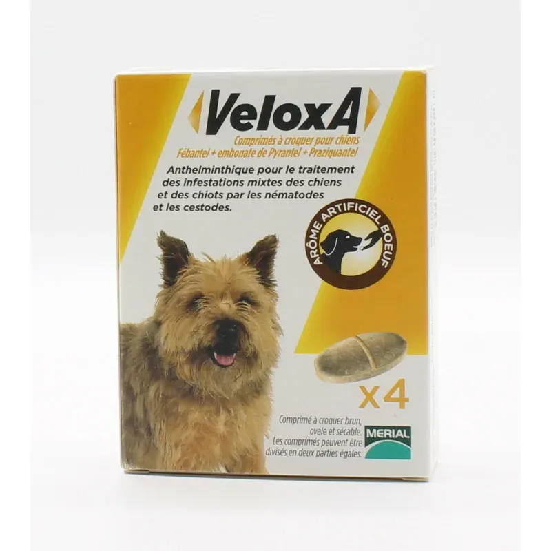 Veloxa Comprimés à Croquer pour Chiens X4
