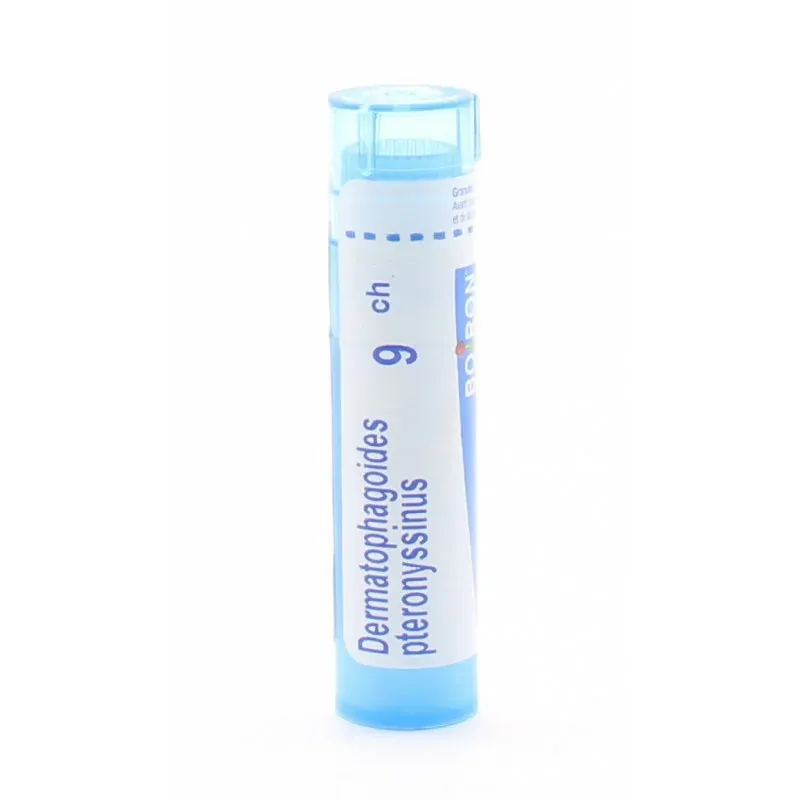 Boiron Dermatophagoides Pteronyssinus Tube Granules 9CH