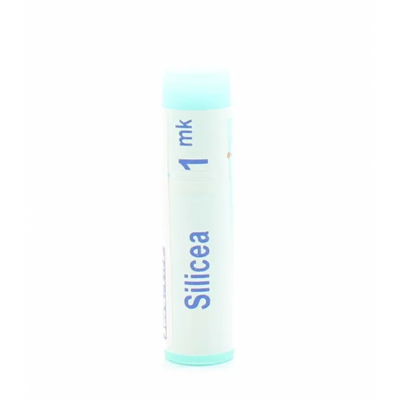 Boiron Silicea 1mk Tube Unidose - Univers Pharmacie
