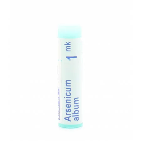 Boiron Arsenicum Album 1mk Tube Unidose - Univers Pharmacie