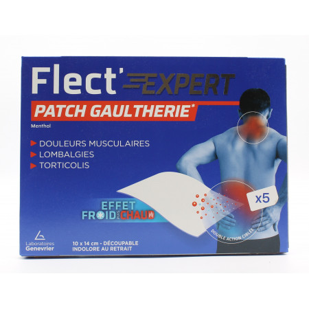 Flect'Expert Patch Gaulthérie X5