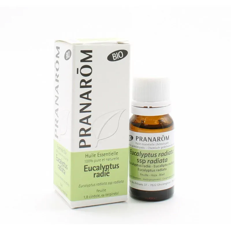 Pranarôm Huile Essentielle Eucalyptus Radié Bio 10ml - Univers Pharmacie