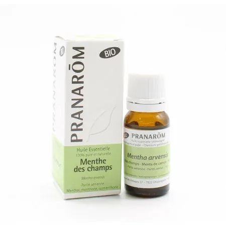 Pranarôm Bio Huile Essentielle Menthe des Champs 10ml