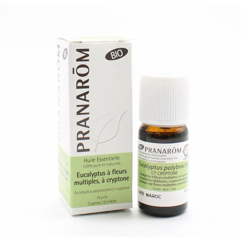 Pranarôm Bio Huile Essentielle Eucalyptus à Cryptone 10ml - Univers Pharmacie
