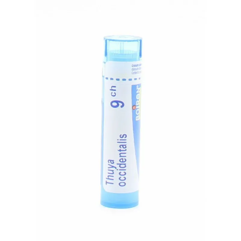 Boiron Thuya Occidentalis 9CH tube granules - Univers Pharmacie