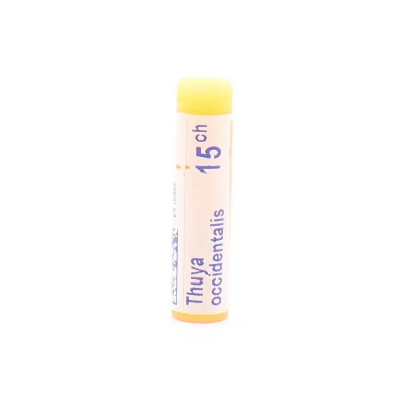 Boiron Thuya Occidentalis 15CH Tube Unidose - Univers Pharmacie