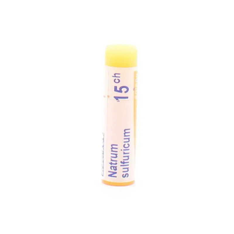 Boiron Natrum Sulfuricum 15CH Tube Unidose - Univers Pharmacie