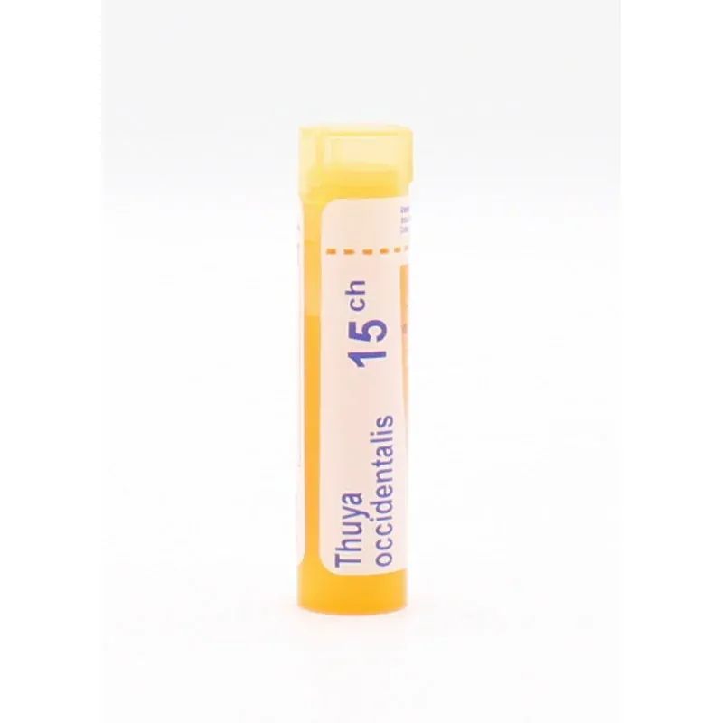 Boiron Thuya Occidentalis 15CH Tube Granules - Univers Pharmacie