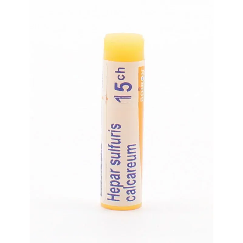 Boiron Hepar Sulfuris Calcareum 15ch Tube Unidose - Univers Pharmacie