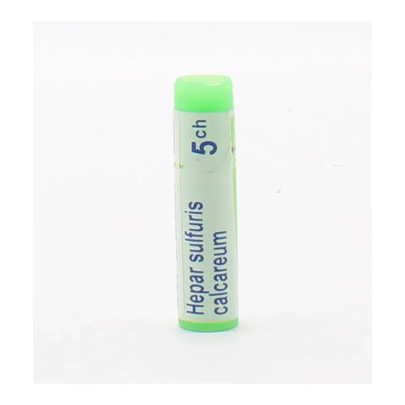 Boiron Hepar Sulfuris Calcareum 5ch Tube Unidose - Univers Pharmacie