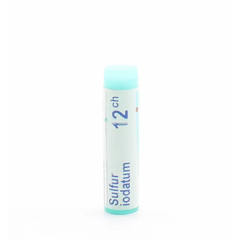 Boiron Sulfur Iodatum 12CH Unidose - Univers Pharmacie