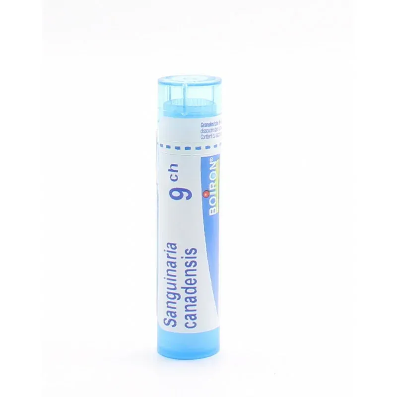 Boiron Sanguinaria Canadensis 9CH Tube Granule - Univers Pharmacie