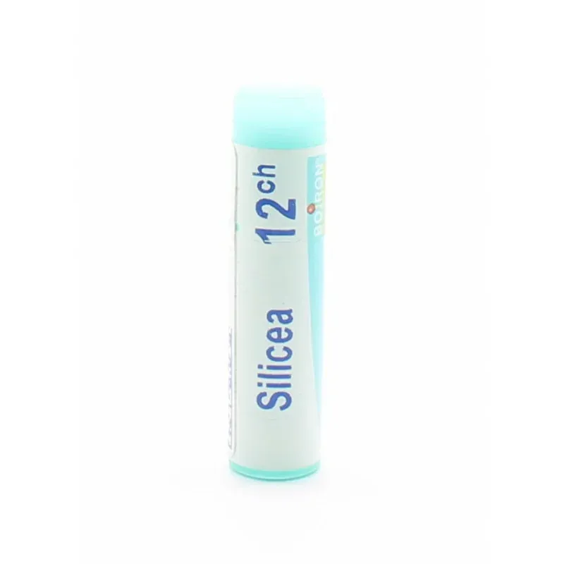 Boiron Silicea 12ch unidose - Univers Pharmacie