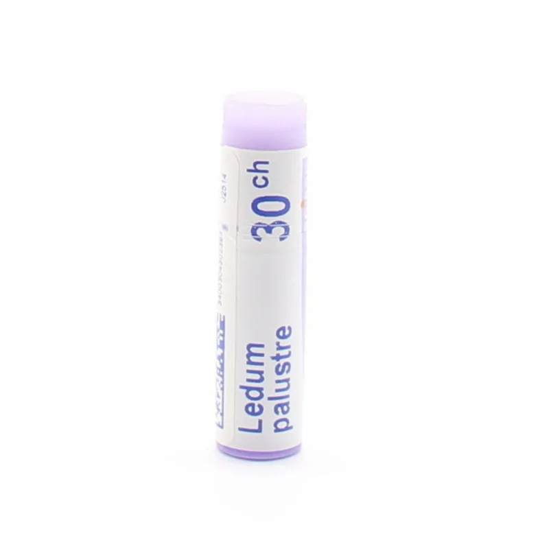 Boiron Ledum Palustre 30CH unidose