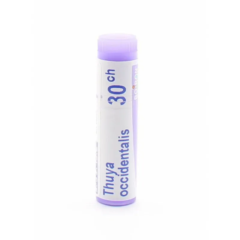 Boiron Thuya Occidentalis 30CH Tube Unidose - Univers Pharmacie