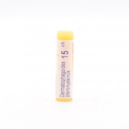Boiron Dermatophagoides Pteronyssinus 15ch tube unidose - Univers Pharmacie