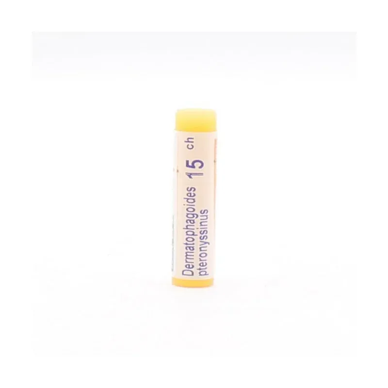 Boiron Dermatophagoides Pteronyssinus 15ch tube unidose - Univers Pharmacie