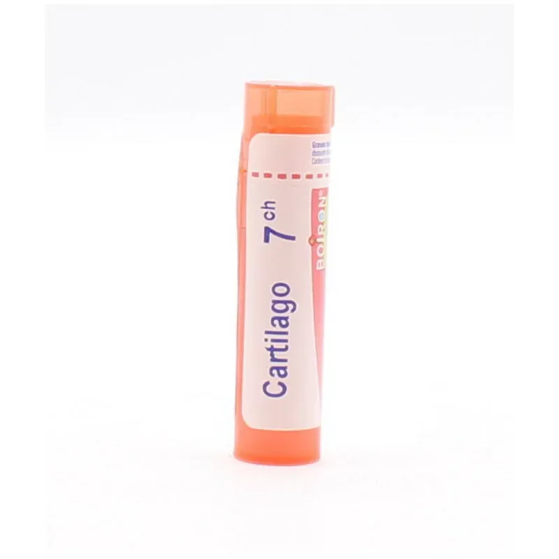 Boiron Cartilago 7ch tube granules - Univers Pharmacie