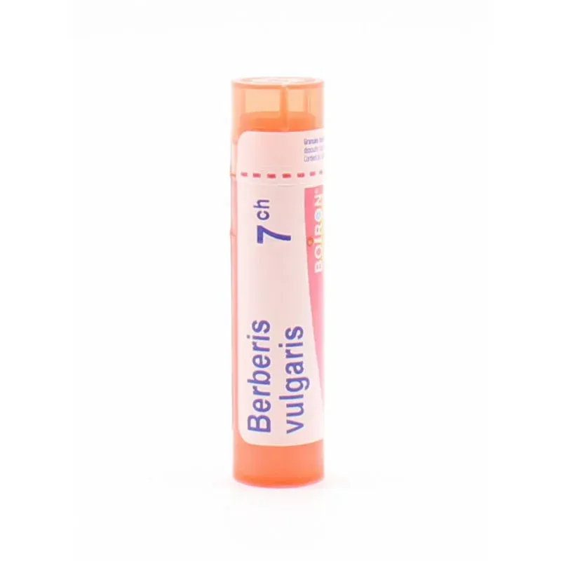 Boiron Berberis Vulgaris 7ch tube granules - Univers Pharmacie