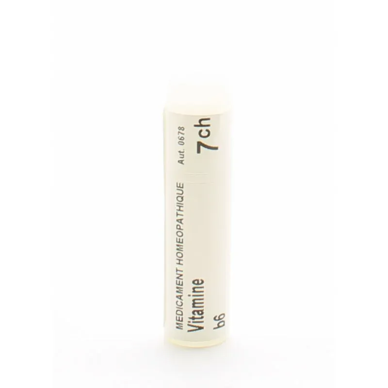 Boiron Vitamine B6 7ch tube unidose - Univers Pharmacie