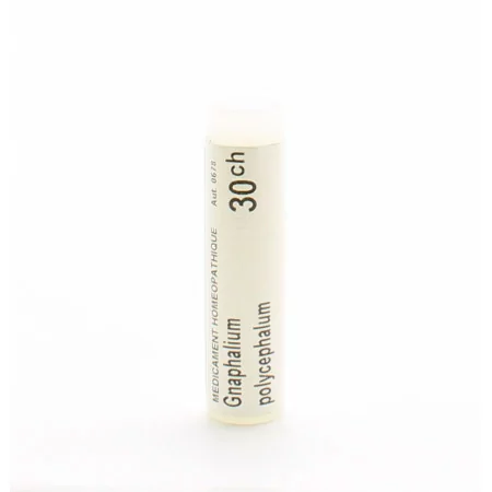 Boiron Gnaphalium Polycephalum 15CH tube unidose - Univers Pharmacie