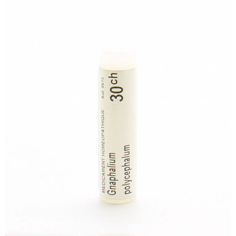 Boiron Gnaphalium Polycephalum 15CH tube unidose - Univers Pharmacie