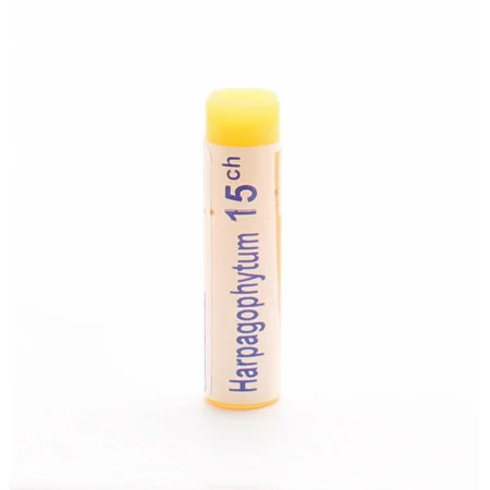 Boiron Harpagophytum 15CH tube unidose - Univers Pharmacie