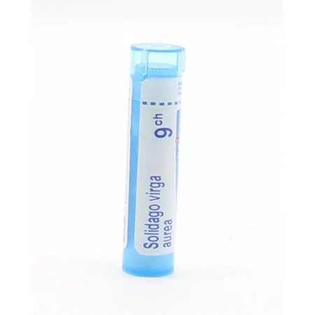 Boiron Solidago Virga Aurea 9ch tube granules - Univers Pharmacie