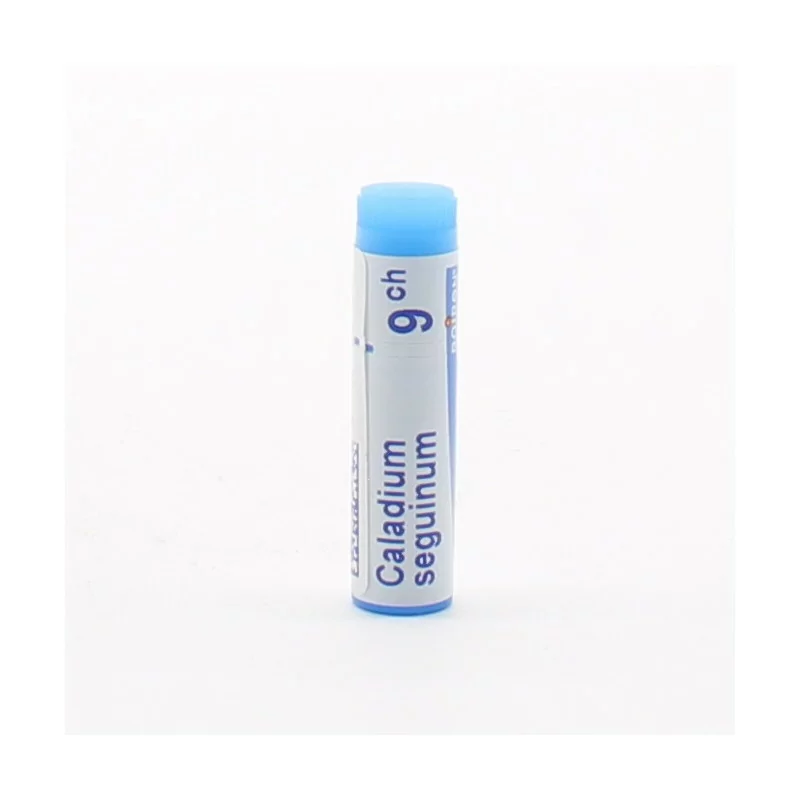 Boiron Caladium Seguinum 9ch tube unidose - Univers Pharmacie