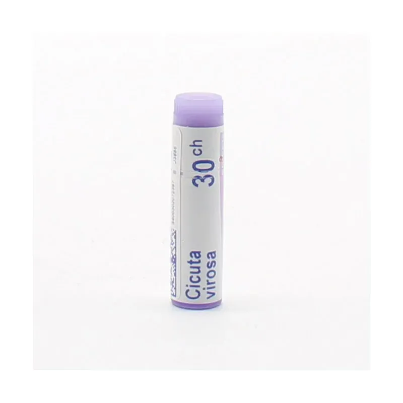 Boiron Cicuta Virosa 30CH Tube Unidose- Univers Pharmacie