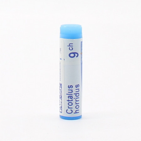 Boiron Crotalus Horridus 9ch tube unidose - Univers Pharmacie