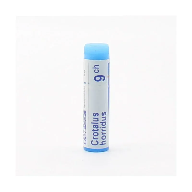 Boiron Crotalus Horridus 9ch tube unidose - Univers Pharmacie