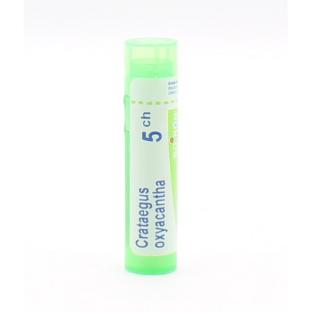 Boiron Crataegus Oxyacantha 5CH tube granules - Univers Pharmacie