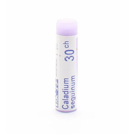 Boiron Caladium Seguinum 30CH tube unidose - Univers Pharmacie