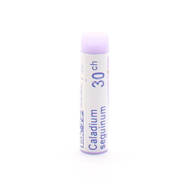 Boiron Caladium Seguinum 30CH tube unidose - Univers Pharmacie