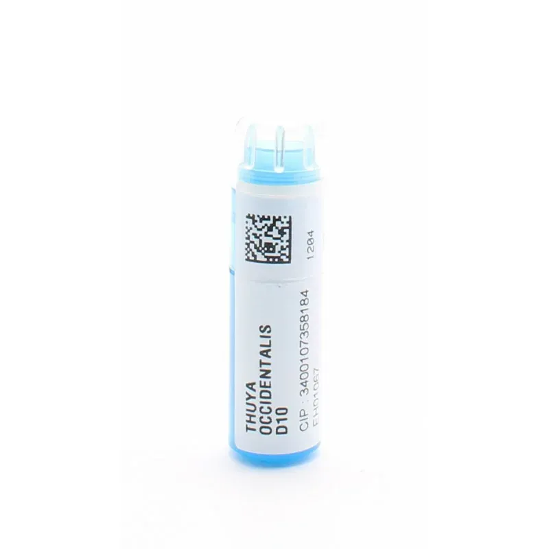Weleda Thuya Occidentalis D10 tube granules - Univers Pharmacie
