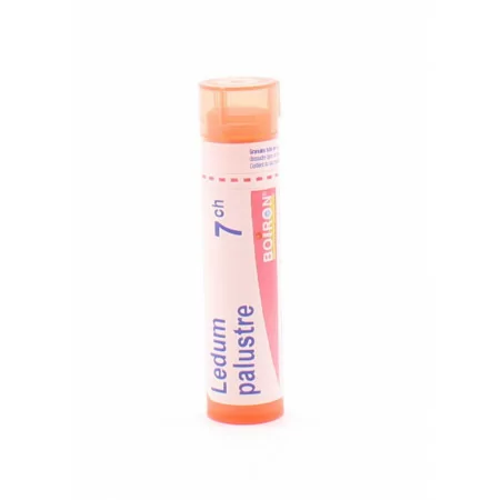 Boiron Ledum Palustre 7CH Tube Granules - Univers Pharmacie