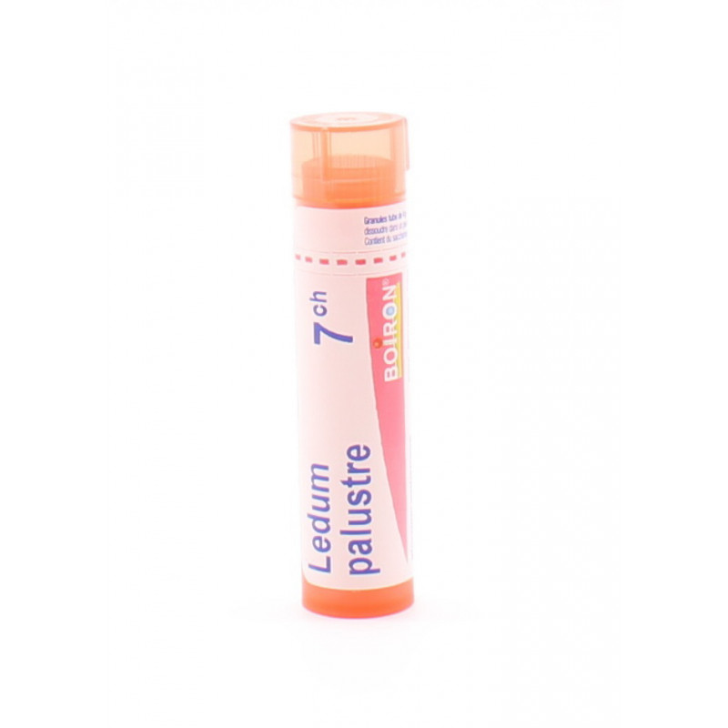 Natrum Sulfuricum 9 Ch Retention D Eau
