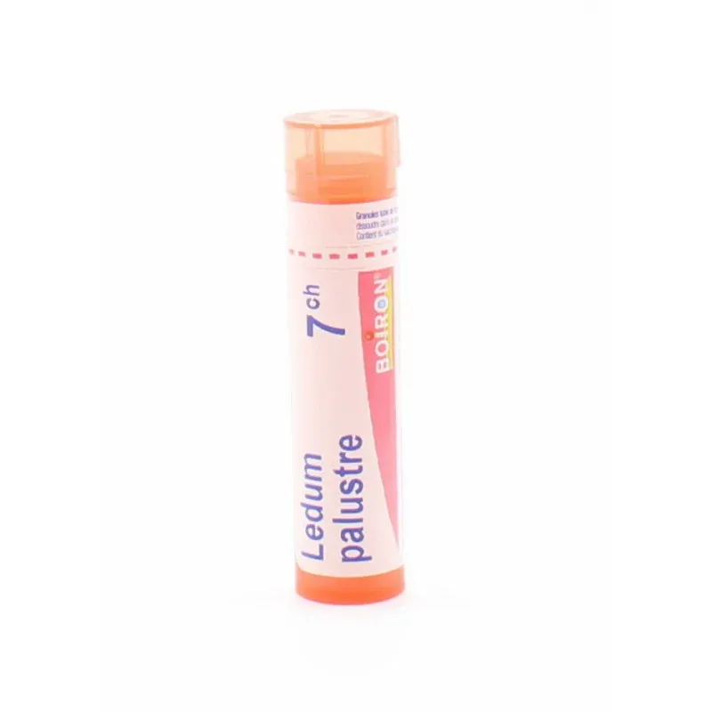 Boiron Ledum Palustre 7CH Tube Granules - Univers Pharmacie