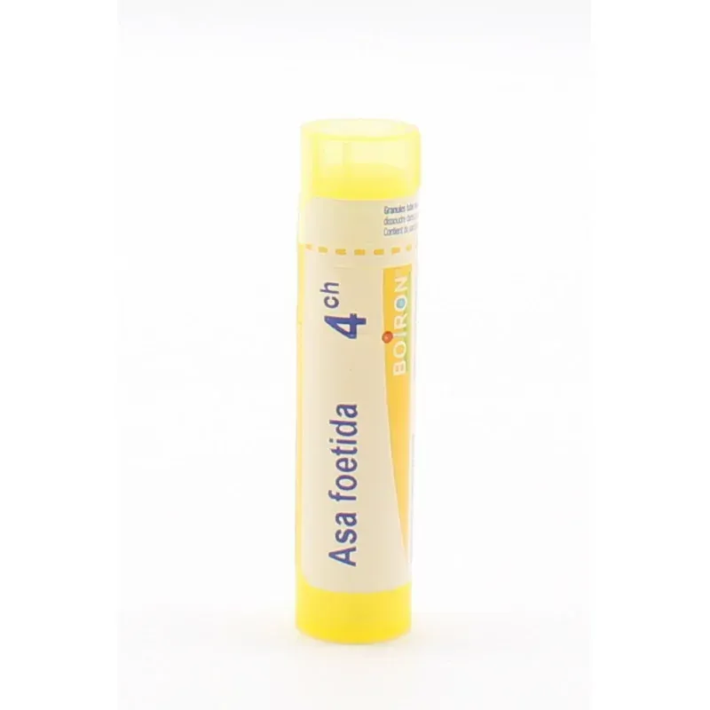 Boiron Asa Foetida 4CH Tube Granules - Univers Pharmacie