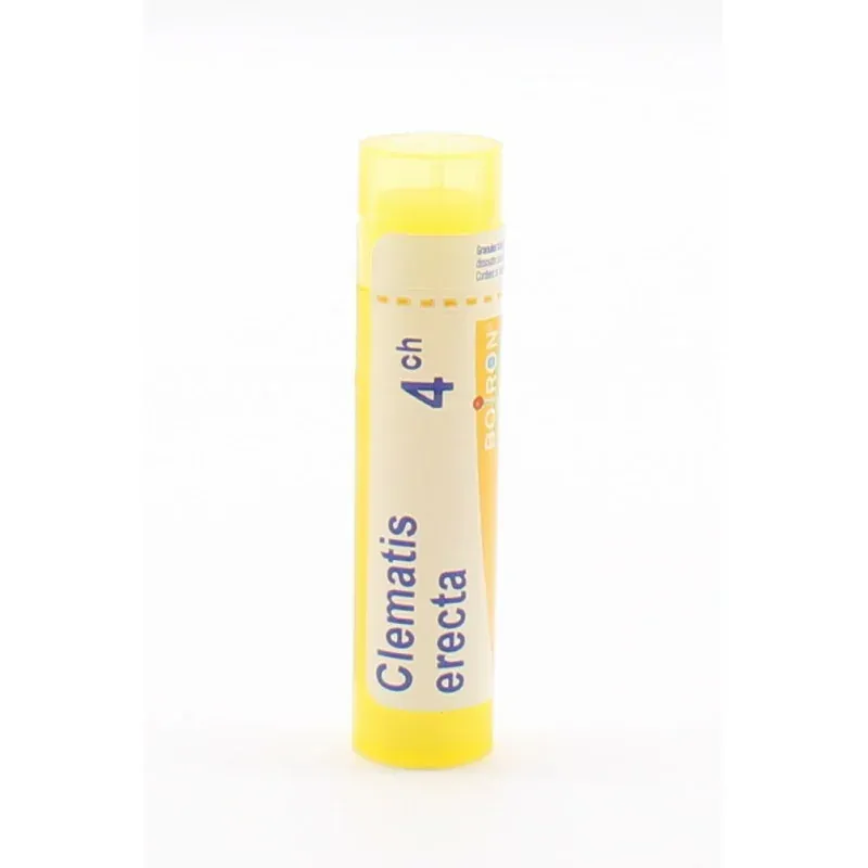 Boiron Clematis Erecta 4ch tube granules - Univers Pharmacie
