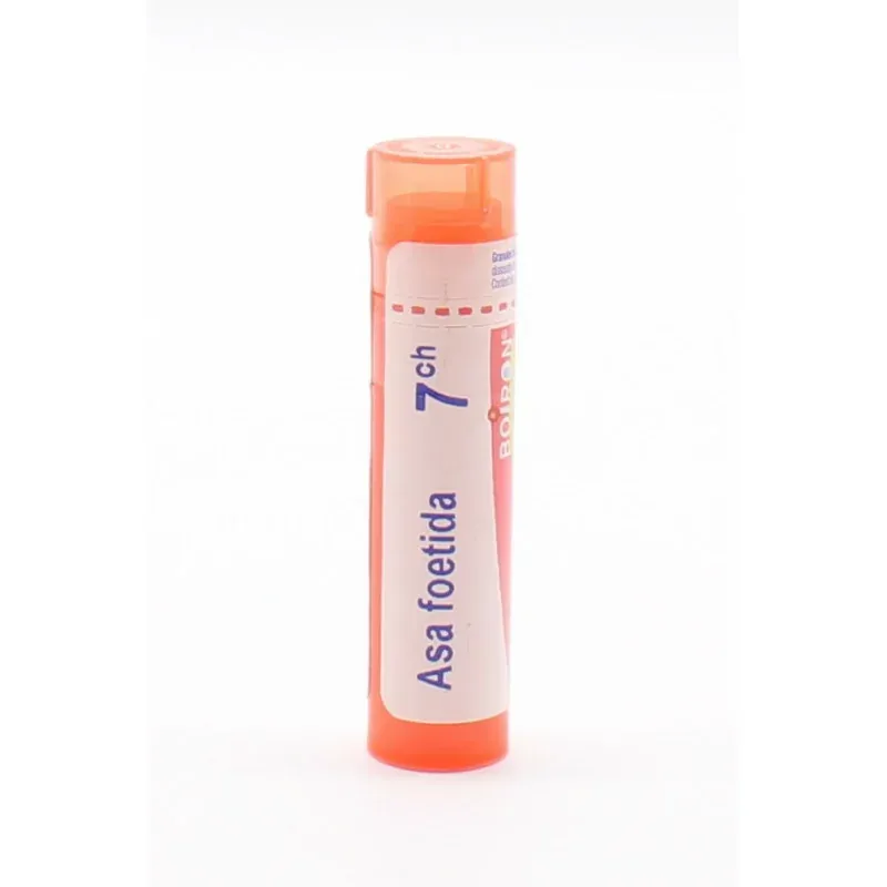 Boiron Asa Foetida 7ch tube granules - Univers Pharmacie