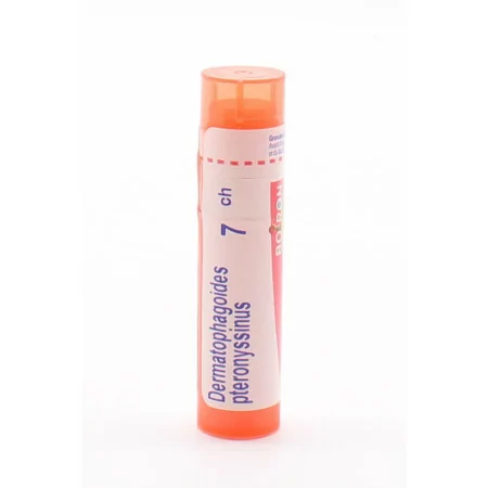 Boiron Dermatophagoides Pteronyssinus 7ch tube granules - Univers Pharmacie