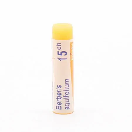 Boiron Berberis Aquifolium 15CH Tube Unidose - Univers Pharmacie