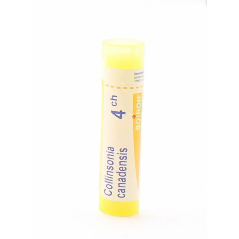 Boiron Collinsonia Canadensis 4CH Tube Granules - Univers Pharmacie