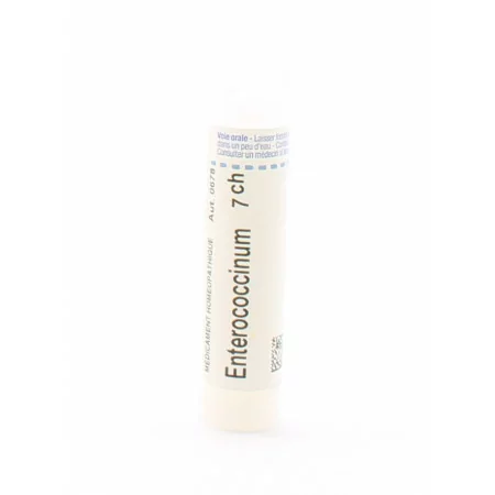 Boiron Enterococcinum 7CH Tube Granules - Univers Pharmacie