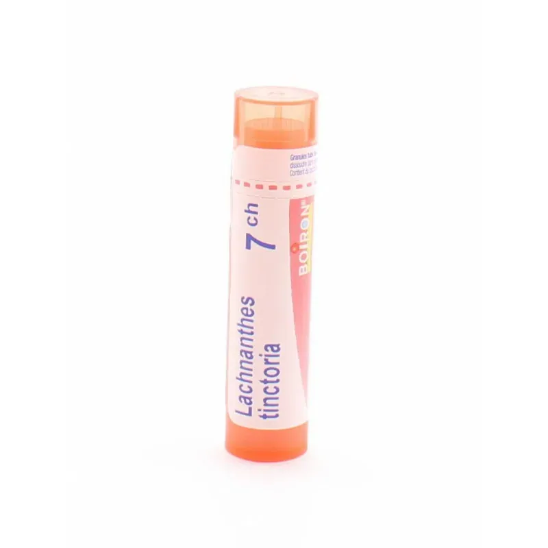 Boiron Lachnanthes Tinctoria 7ch tube granules - Univers Pharmacie